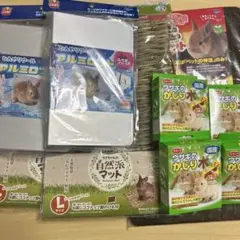 Item thumbnail for item 157517df-db8c-4608-bda6-765e51fcdc11