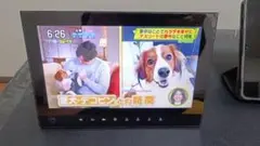 Item thumbnail for item c5d4b548-5ad8-46a1-a47d-674b5da3a46e