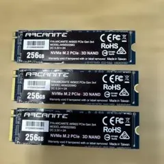 ARCANITE AKM22 256GB SSD