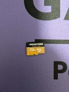 GIGASTONE 256GB microSDXC A2