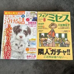レディースコミック　2冊