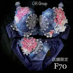 ワコール サルート 08G 店舗限定 中国音楽 F70&ノーマルショーツM
