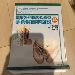 m58689359188_1.jpg?1745651031