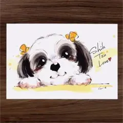 イラスト 原画 ポストカード 絵 【シーズー】66
