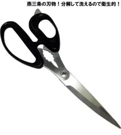 Item thumbnail for item 3a120b1d-c0dc-4ceb-90e4-0f13933dafac