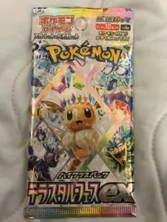 ポケモンカードゲーム テラスタルフェスex