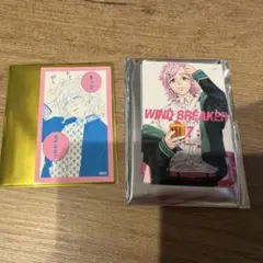 WIND BREAKER 桐生 三輝