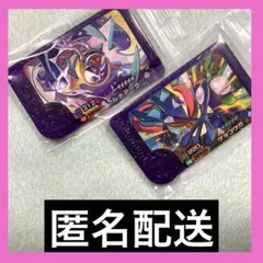 ポケモンフレンダ ピック 2枚セット③