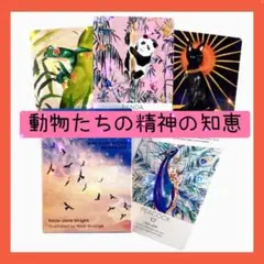 【新品】動物たちの精神の知恵タロットカード カラフルでポップなアートワーク!