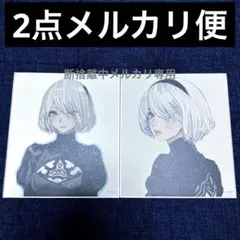 ③ニーアオートマタ　ニーア　15th ミニ色紙コレクション　消セナイ記録　 2B