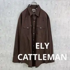 t0118 US古着 ELY CATTLEMAN 長袖 シャツ Y2K 茶 XL