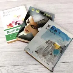『女がはばたくとき』桐島洋子『重婚』夏樹静子『夏の終り』瀬戸内晴美 セット 古本