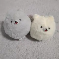 しっぽぶんぶん　ポメラニアン　②