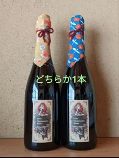 2022 オオカミのスプマンテ(白)『キミに幸あれ』/アズッカエアズッコ 日本ワイン]アズッカ エ アズッコ オオカミのスプマンテ キミに