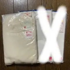 Item thumbnail for item fc16b308-728f-4425-93a1-07d0f8363753