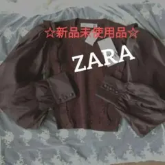 Item thumbnail for item 3f1faae1-b6a8-4c39-aace-5feae6d7458b