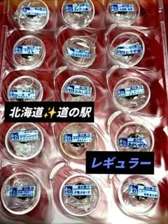 北海道道の駅ピンズ 15種類レギュラー✨