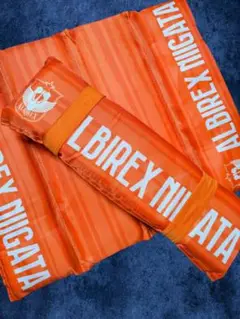 ALBIREX NIIGATA 　観戦用クッション　２点
