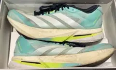 Item thumbnail for item 436afdf6-770d-482c-ae2c-a42e6247d24b