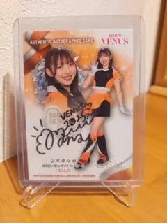 Item thumbnail for item 12945d73-968f-49f5-86b8-ccd96a1ded80