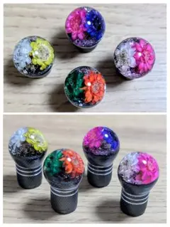 Item thumbnail for item 76288c79-5c2d-4329-ba40-cbe1b8a57f92