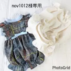 Item thumbnail for item e9c66a10-a529-4629-bae7-5bc6716a6097