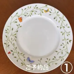 レイノー ヒストリーナチュール プレート 22cm 2枚セット RAYNAUD ヒストリーナチュール ブラウンバード22cm 6枚セット 箱