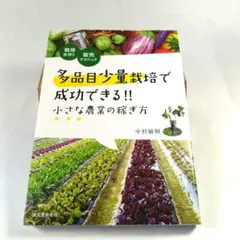 Item thumbnail for item f3f37a43-eab0-442a-a372-ef7ab545b6e2