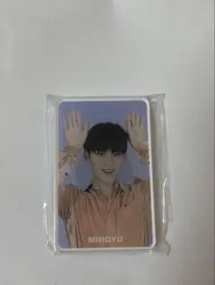 SEVENTEEN 2020 SVT マグネット ミンギュ