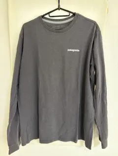 Patagonia ロンT