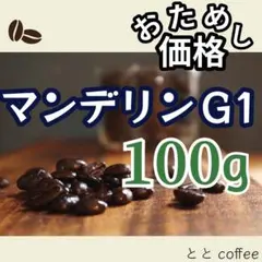 自家焙煎　珈琲豆　マンデリン　100g