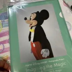 ディズニーリゾート　イマジニングザマジック　クリアホルダー　2枚入り