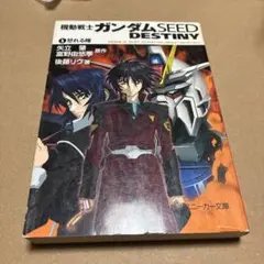 機動戦士ガンダムSEED DESTINY(1) 怒れる瞳