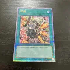 遊戯王　増援　絵違い　25thシークレットレア1枚