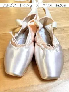 シルビア　トゥシューズ　エリス　24.5cm E Sylvia Ellis