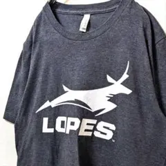 ベラキャンバス ロープスブランドキャニオン大学ロゴ Tシャツグレー灰色L古着