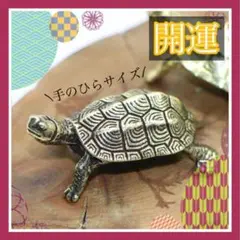 幸福 金運アップ 金 亀 カメ かめ ゴールド 縁起 盆景 置物 風水