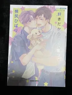 BL 漫画 好きだからって、奪ってごめん アニメイトリーフレット