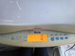 Item thumbnail for item 534d05c3-0c29-406b-a7e3-92d009a86f37