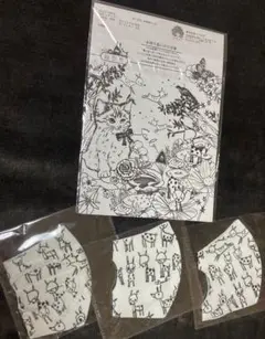 ScoLar スカラー マスク 3枚 エコ 繰り返し 洗濯可 ぬりえ 布マスク