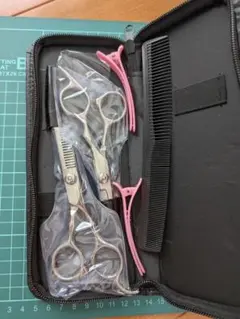 Item thumbnail for item ada96858-05b4-42e1-bcd0-4a2ceb6350f3