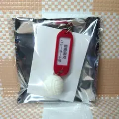 ハイキュー 音駒高校 高校名付き 鍵チャームキーホルダー