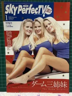 Item thumbnail for item cc3ab136-a58a-4526-82ba-2f402cfdd4ac