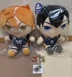 ハイキュー　一番くじぬいぐるみ2体＋おまけセット