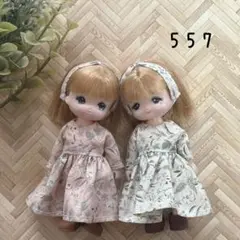 Item thumbnail for item 18b88596-2312-4ed9-a8fb-76f069af27cd