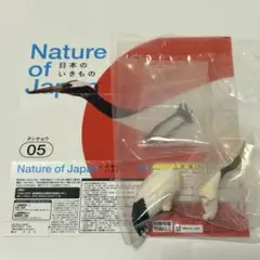 Nature of Japan 日本のいきもの　タンチョウ