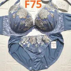 Item thumbnail for item 48f69ed0-1736-4f78-91c5-78b8006c6a5c