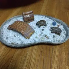 箱庭 庭園 ミニチュア