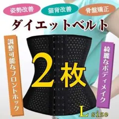 【2枚】コルセット L ウエストニッパー 骨盤ベルト ダイエット くびれ