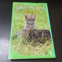 多摩川にすてられたミーコ
